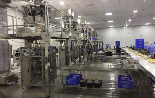 Large-Scale Puffed Snack Production Line Project Case