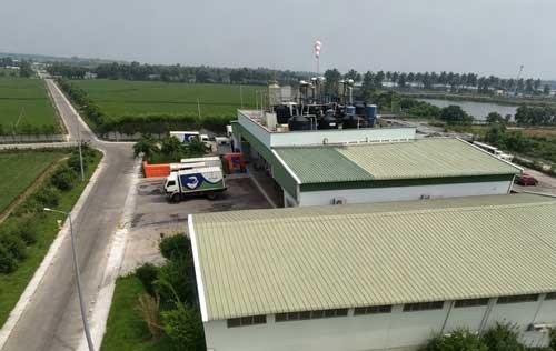 Indian Large-scale Fish Feed Production Line