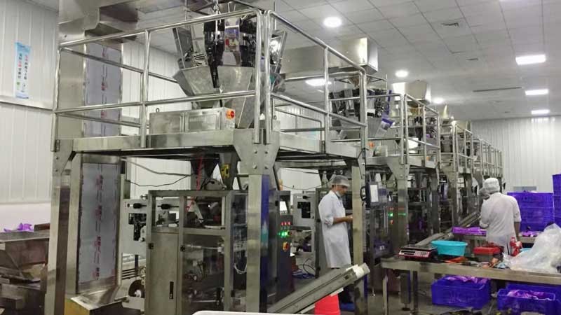 Large-scale Snack Production Line Project